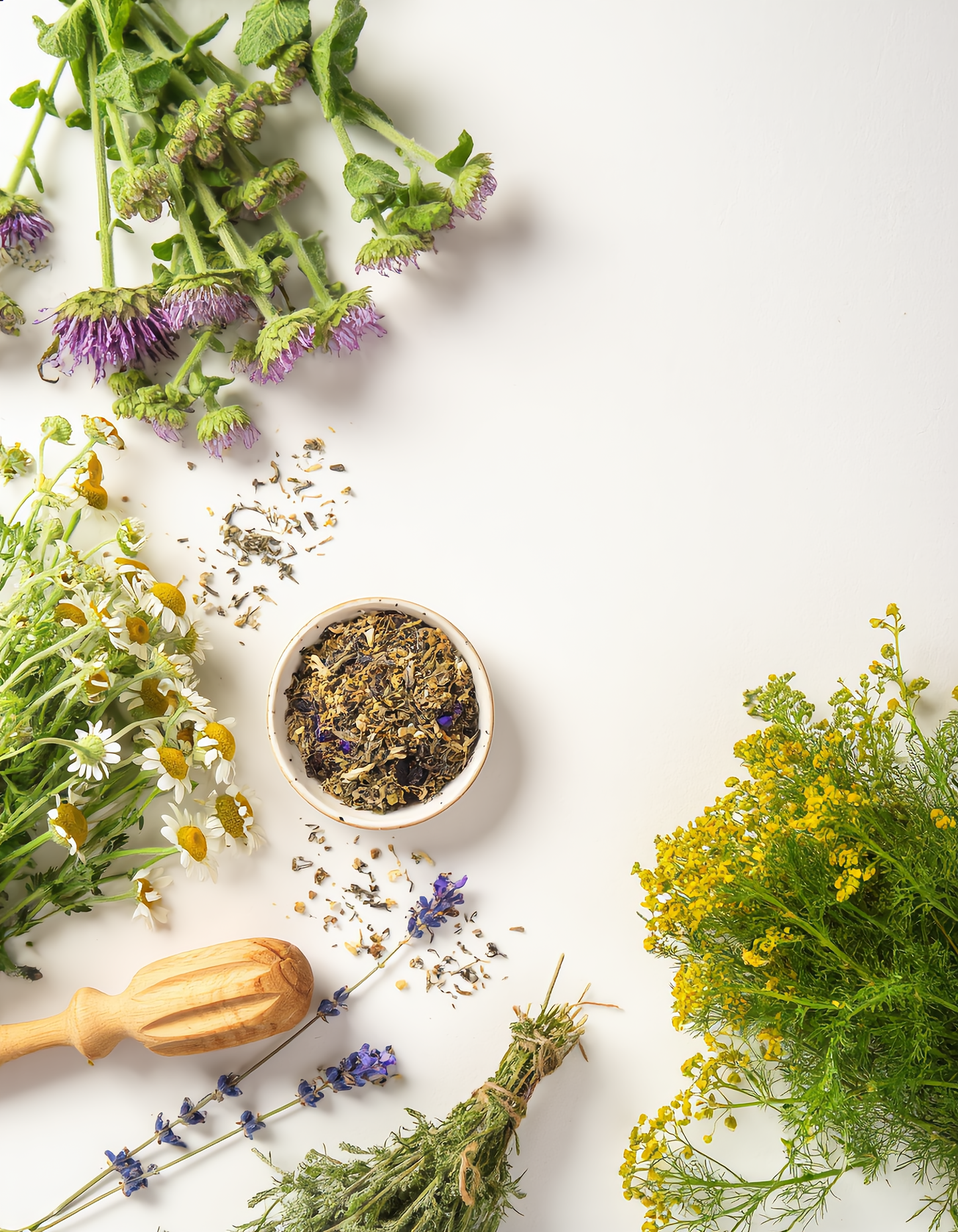 Mindfulness Meditation – Chamomile Relaxation Blend 50g