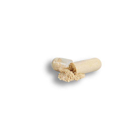 Open Ashwagandha capsule with powdered root spilling gently