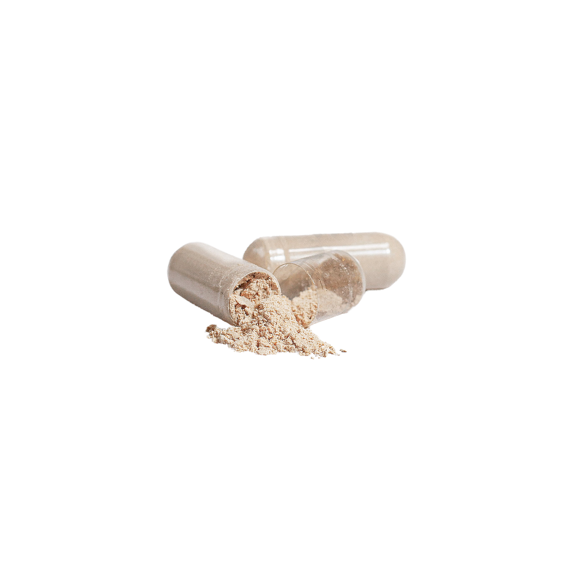 Open Lion’s Mane capsule with powder spilling out
