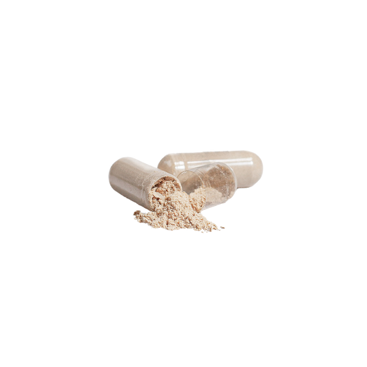 Open Lion’s Mane capsule with powder spilling out
